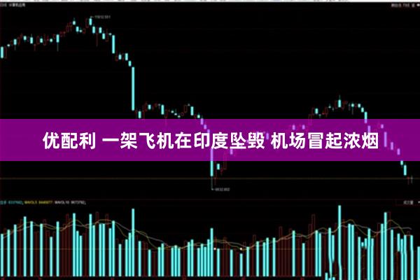 优配利 一架飞机在印度坠毁 机场冒起浓烟