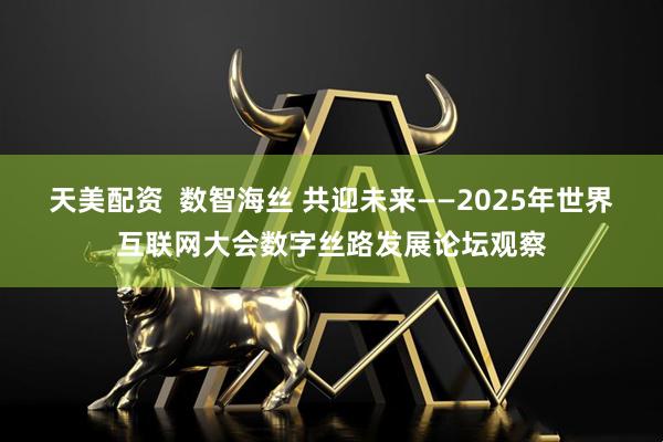 天美配资  数智海丝 共迎未来——2025年世界互联网大会数字丝路发展论坛观察