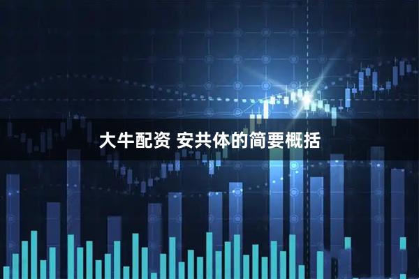 大牛配资 安共体的简要概括