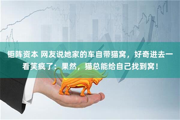 钜阵资本 网友说她家的车自带猫窝，好奇进去一看笑疯了：果然，猫总能给自己找到窝！