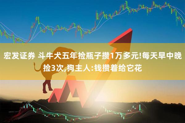 宏发证券 斗牛犬五年捡瓶子攒1万多元!每天早中晚捡3次,狗主人:钱攒着给它花