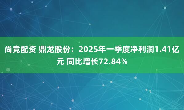 尚竞配资 鼎龙股份：2025年一季度净利润1.41亿元 同比增长72.84%
