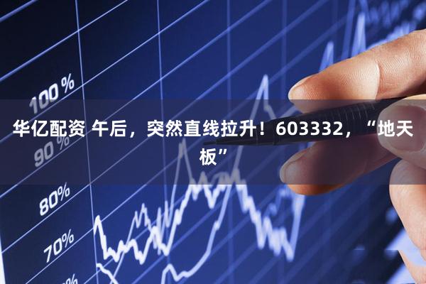 华亿配资 午后，突然直线拉升！603332，“地天板”