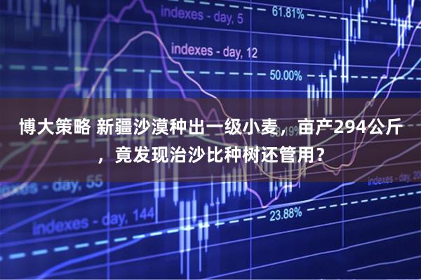 博大策略 新疆沙漠种出一级小麦，亩产294公斤，竟发现治沙比种树还管用？