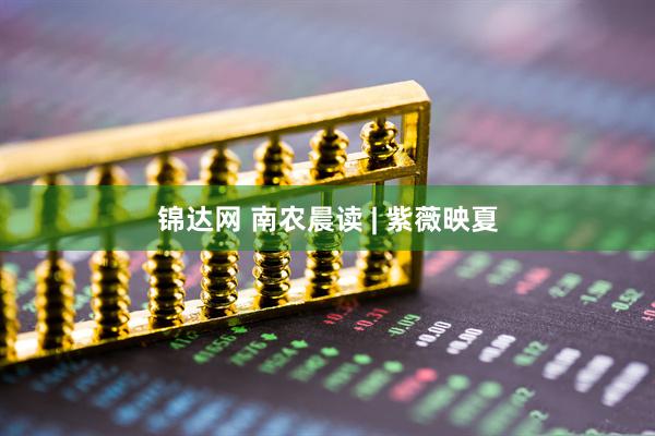 锦达网 南农晨读 | 紫薇映夏