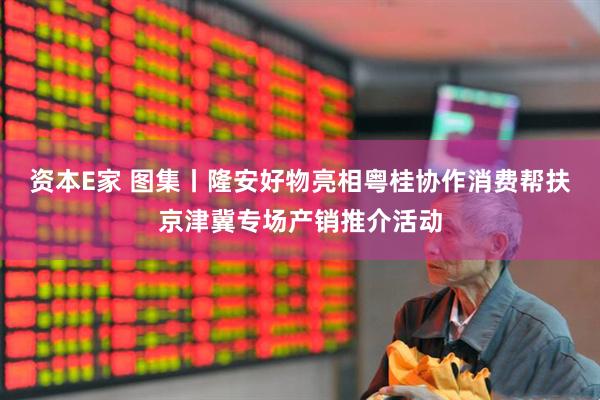 资本E家 图集丨隆安好物亮相粤桂协作消费帮扶京津冀专场产销推介活动